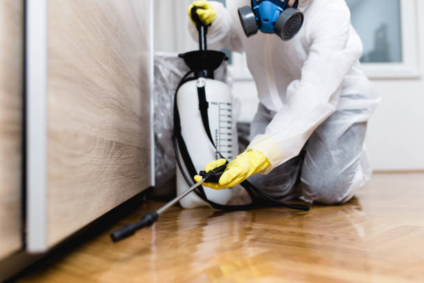 Best Bed Bug Extermination  in Mion, AR