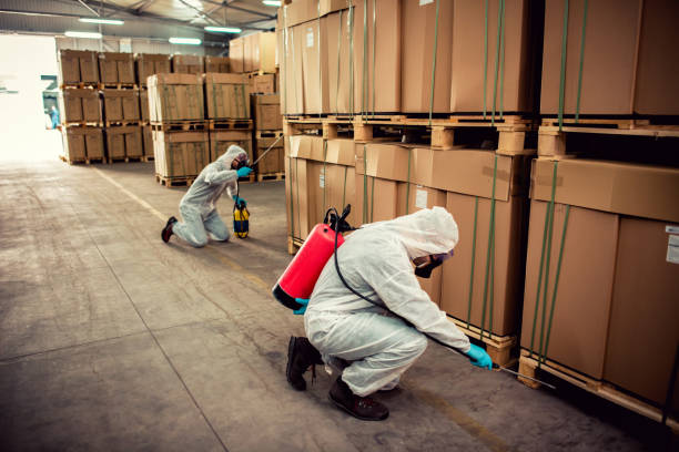 Best Pest Control Near Me  in Mion, AR