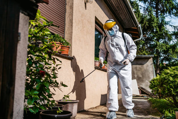 Best Pest Control Near Me  in Mion, AR