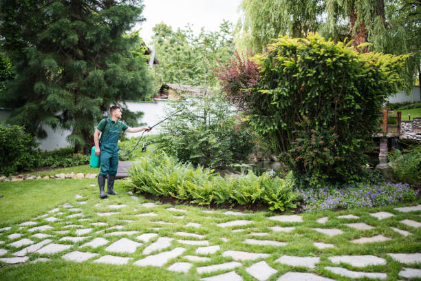 Best Best Pest Control Companies  in Mion, AR