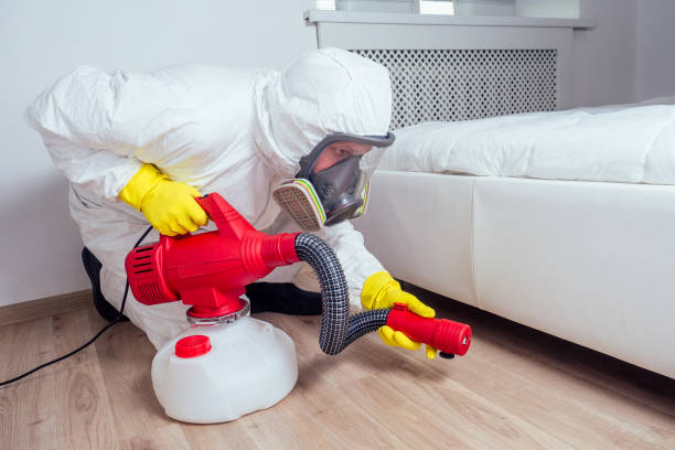 Pest Prevention Services in Marion, AR