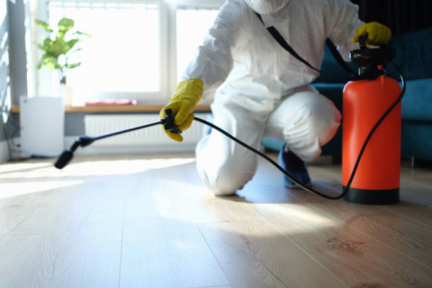 Best Termite Control Services  in Mion, AR