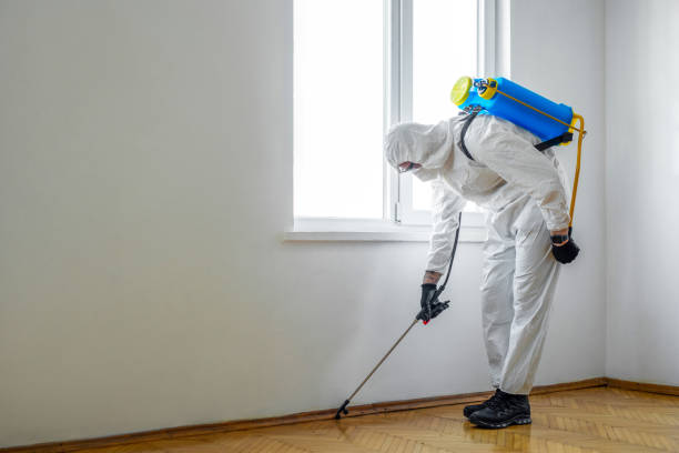 Best Wildlife Control Services  in Mion, AR