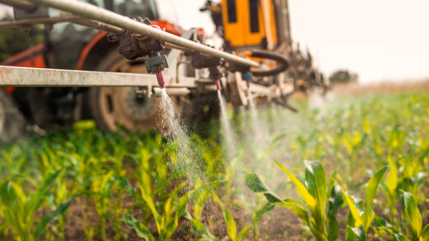 Best Pest Control for Homes  in Mion, AR
