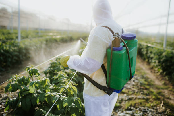 Best Exterminator Services  in Mion, AR